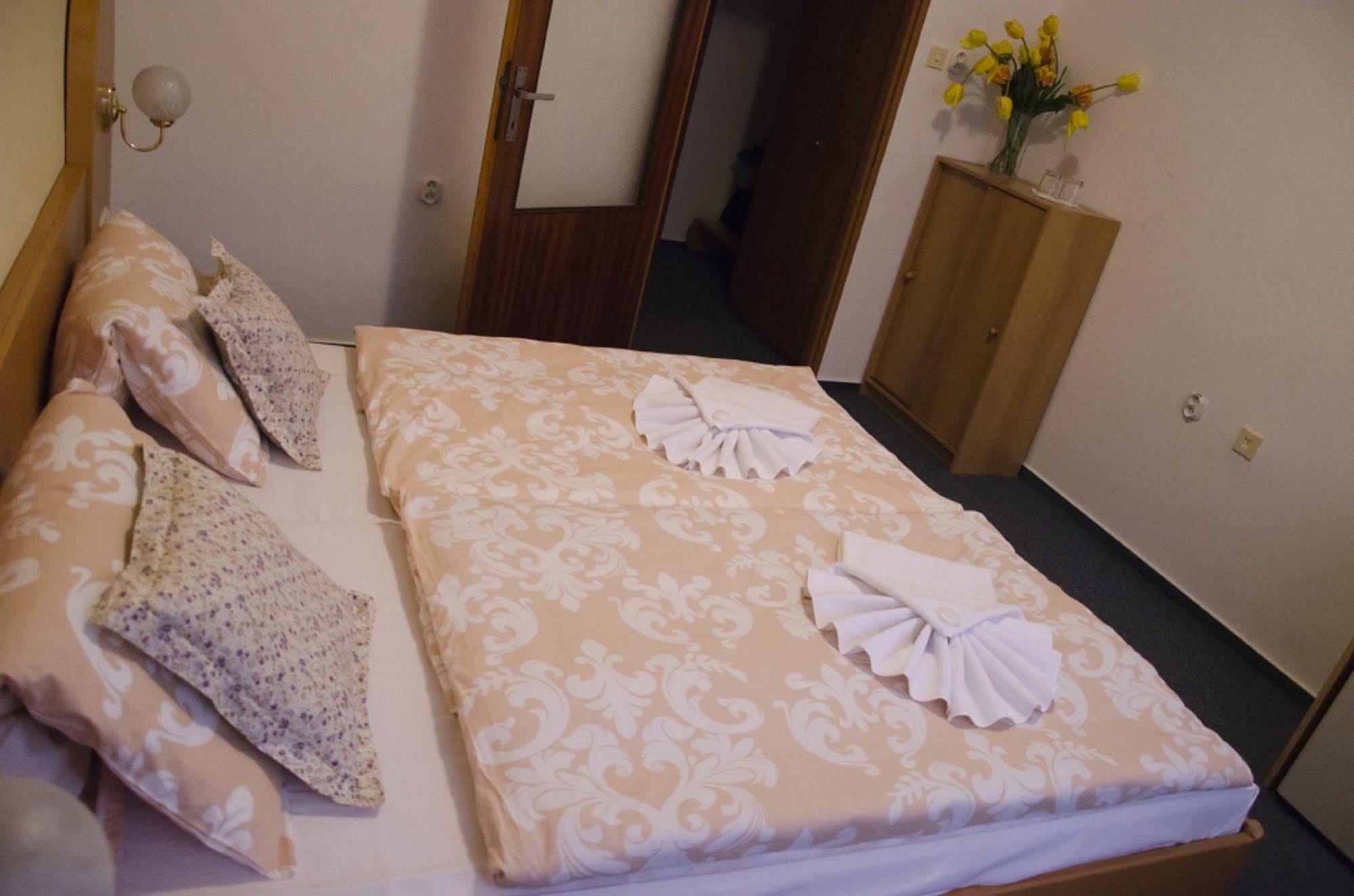 Hotel Zatisi Франтишкови-Лазне Экстерьер фото